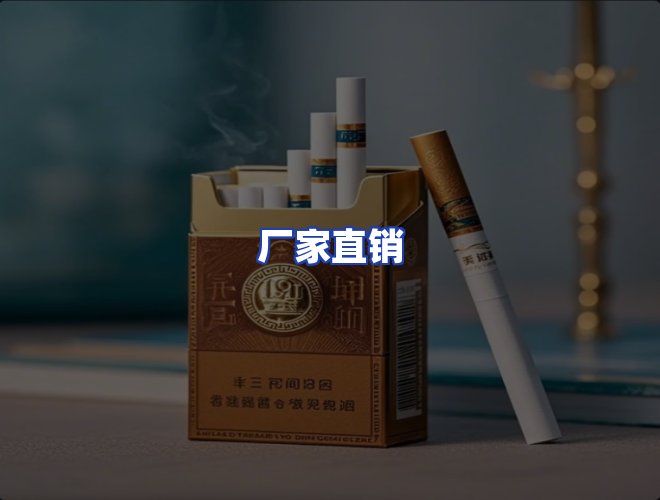 专业团队
